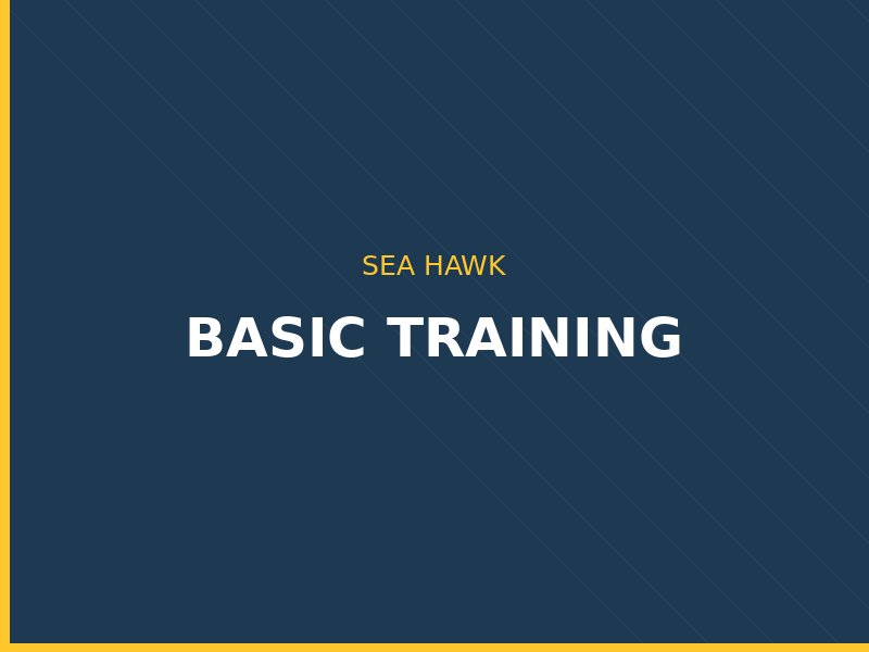 Sea Hawk guards during morning drill